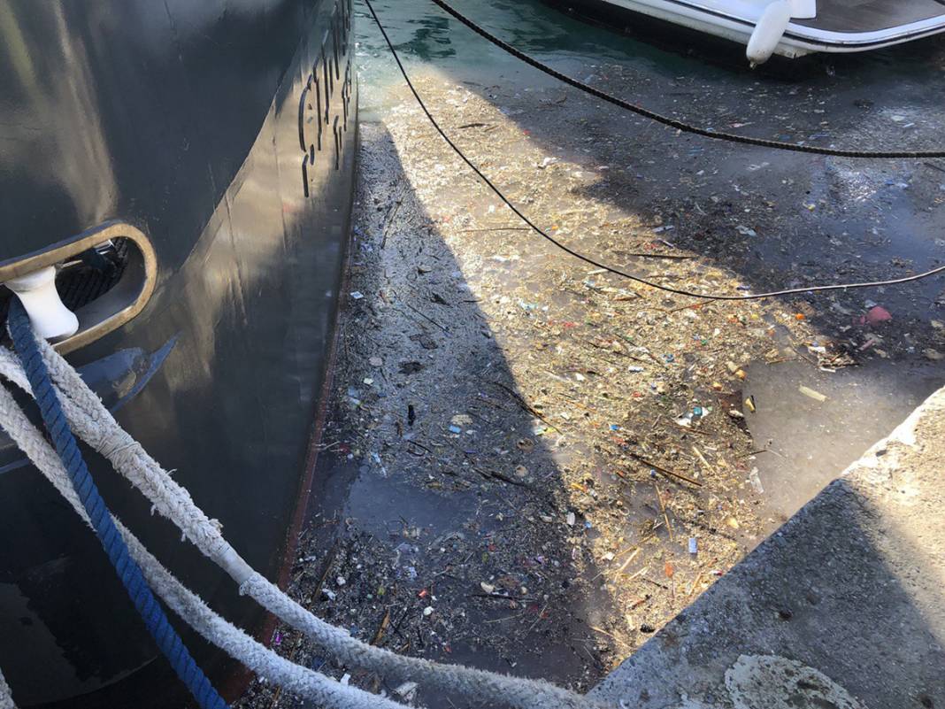 Depremden sonra ikinci tehlike! Marmara Denizi'nde korkutan istila 4